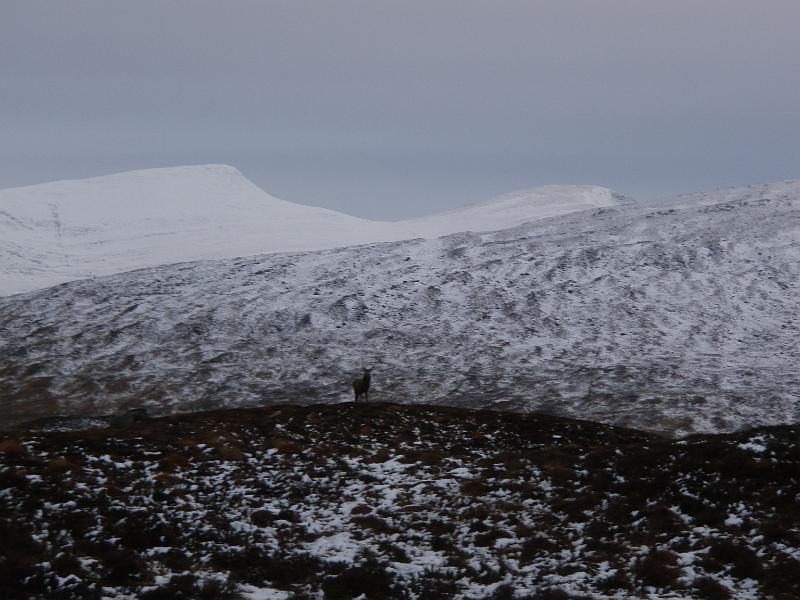 25th Dec 15 (32).JPG